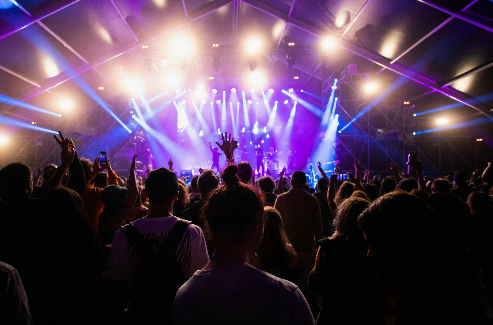 crowd at concert - summer music festival